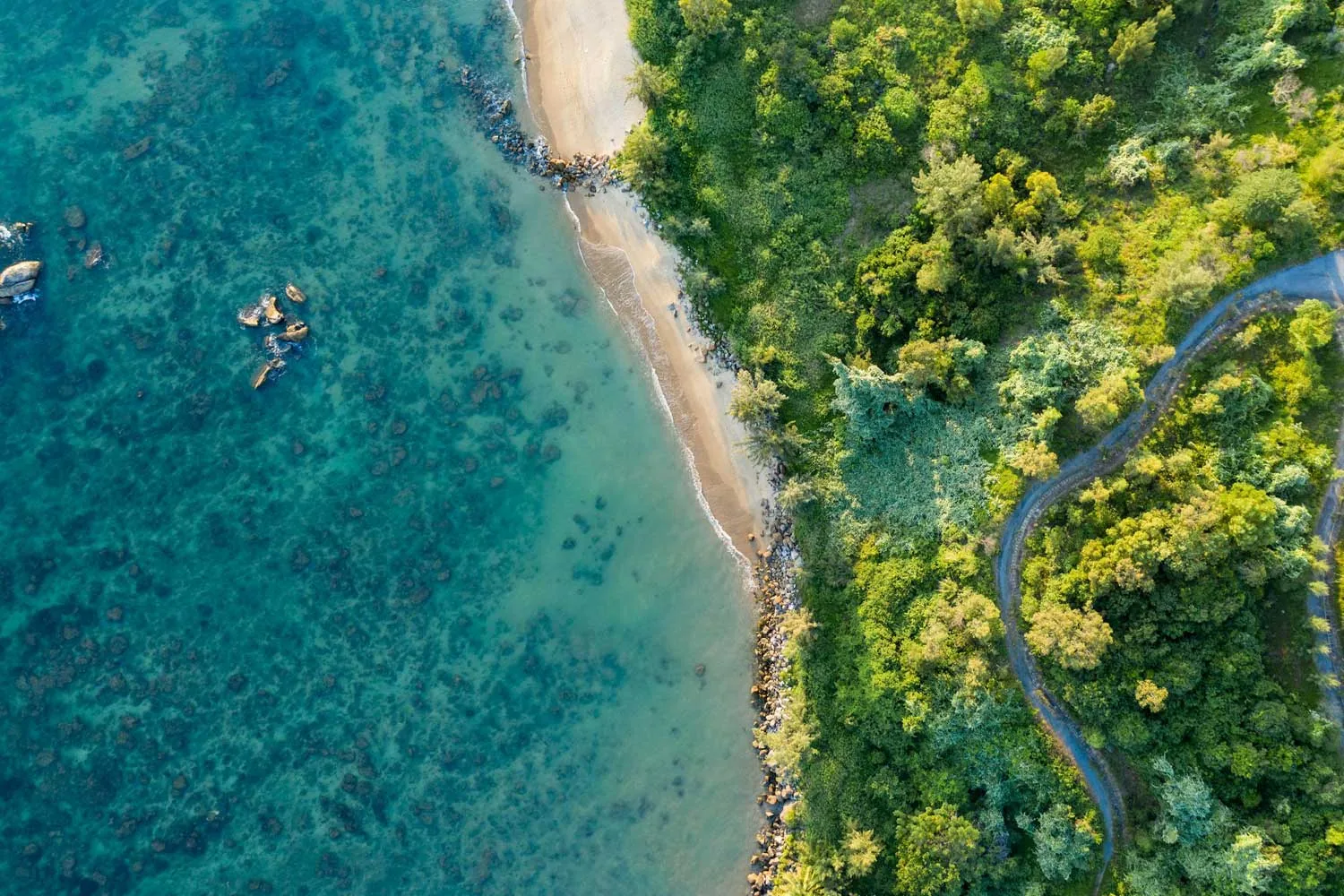veduta aerea di una spiaggia