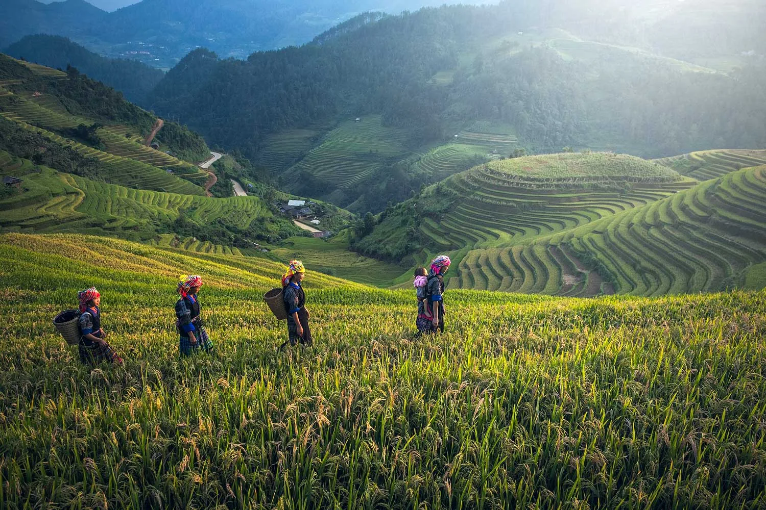quattro donne in abiti tipici di etnia di Sapa fanno trekking 