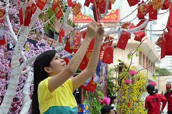 Donna appende decorazioni a un albero per il Tet