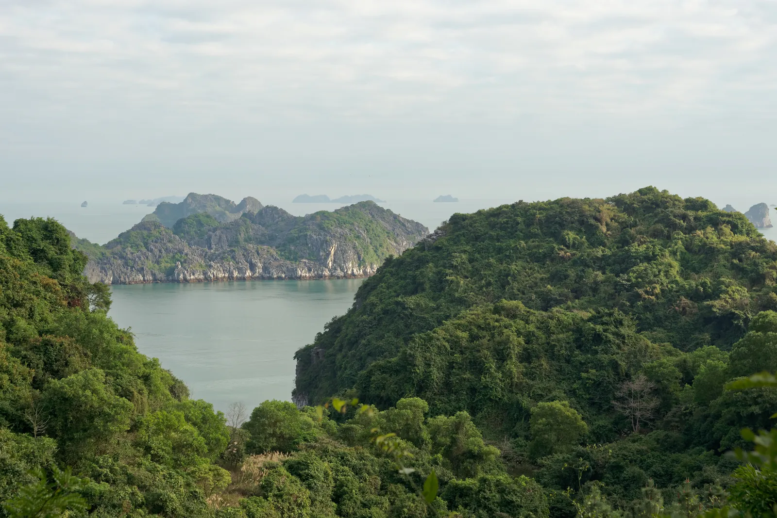 Panorama della baia di Lan Ha vista dal Cannon Fort con isolette e mare verde