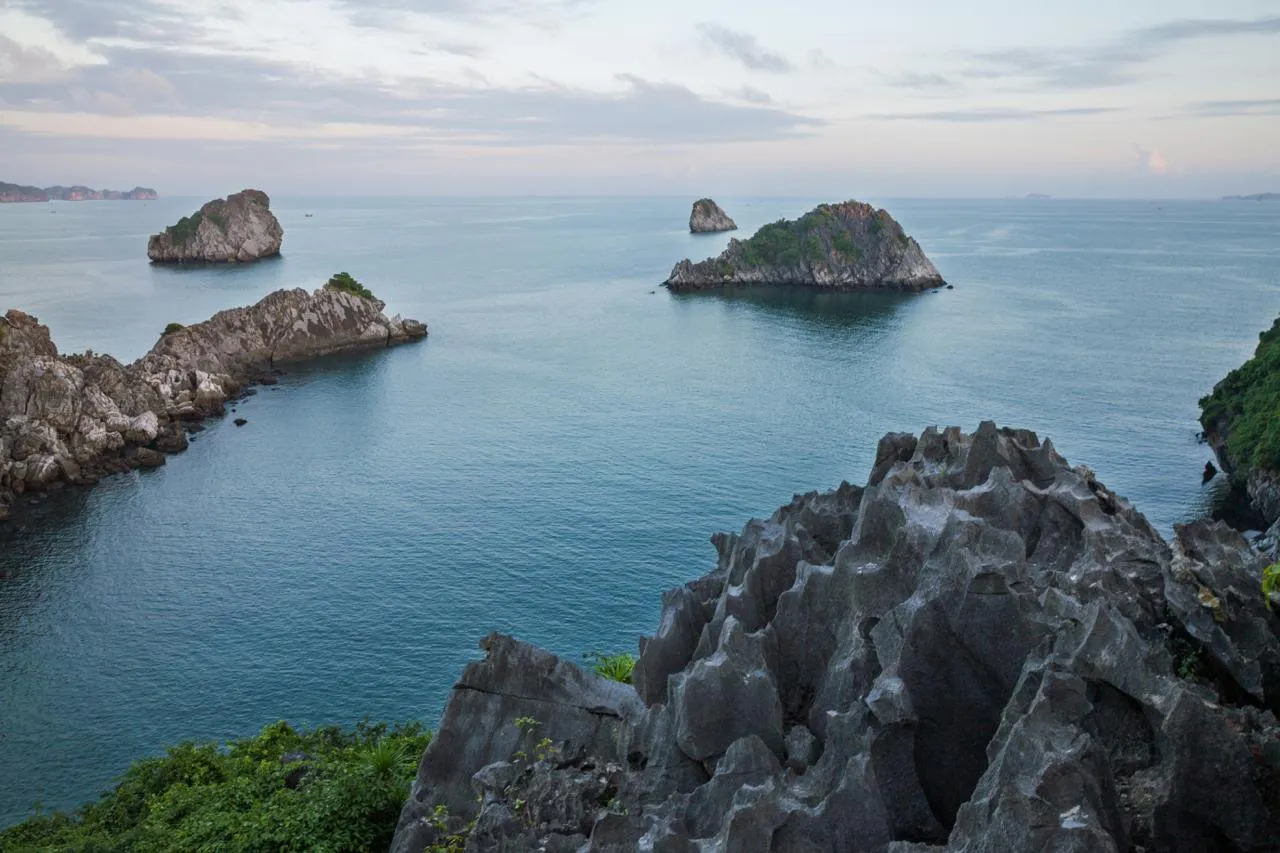 Isolette calcaree del Parco Nazionale di Cat Ba che emergono dal mare