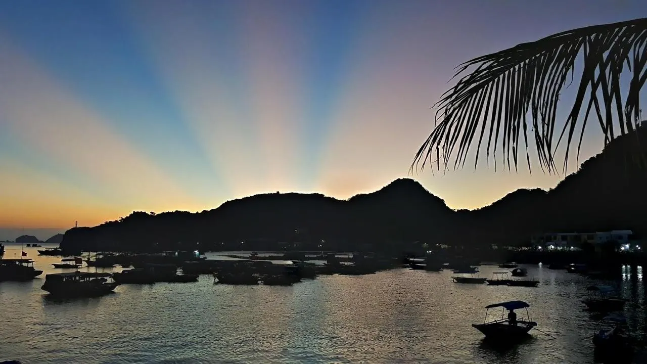 Tramonto sul porto di Cat Ba con barche da pesca e palme in controluce