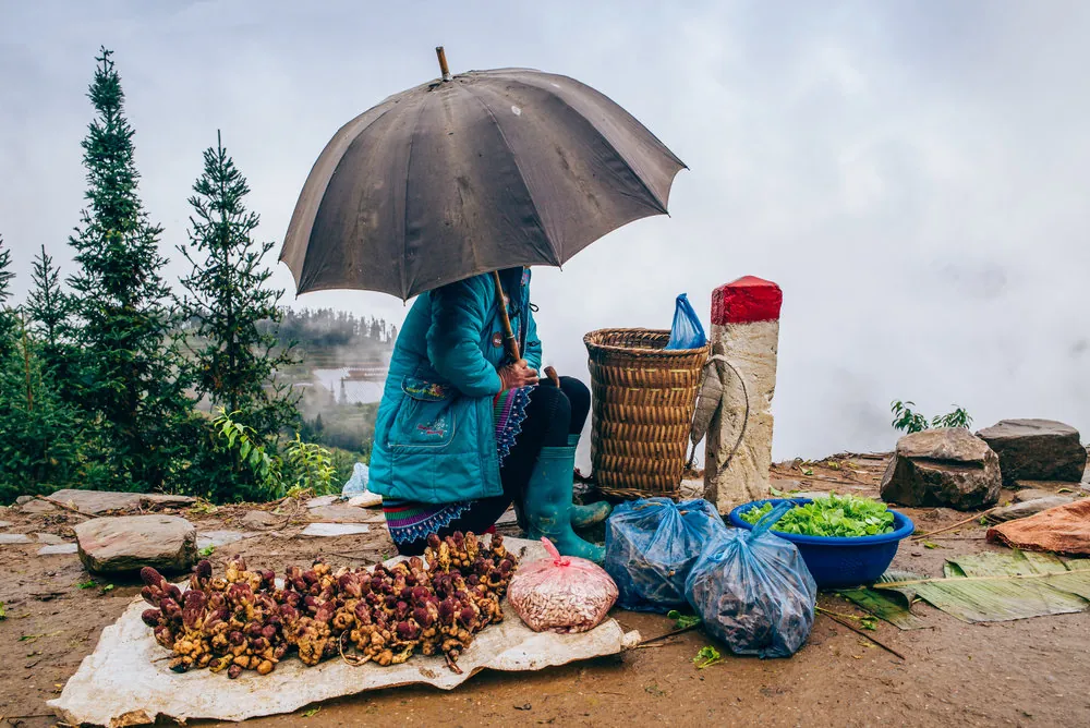 Venditrice ambulante in Vietnam sotto l'ombrello