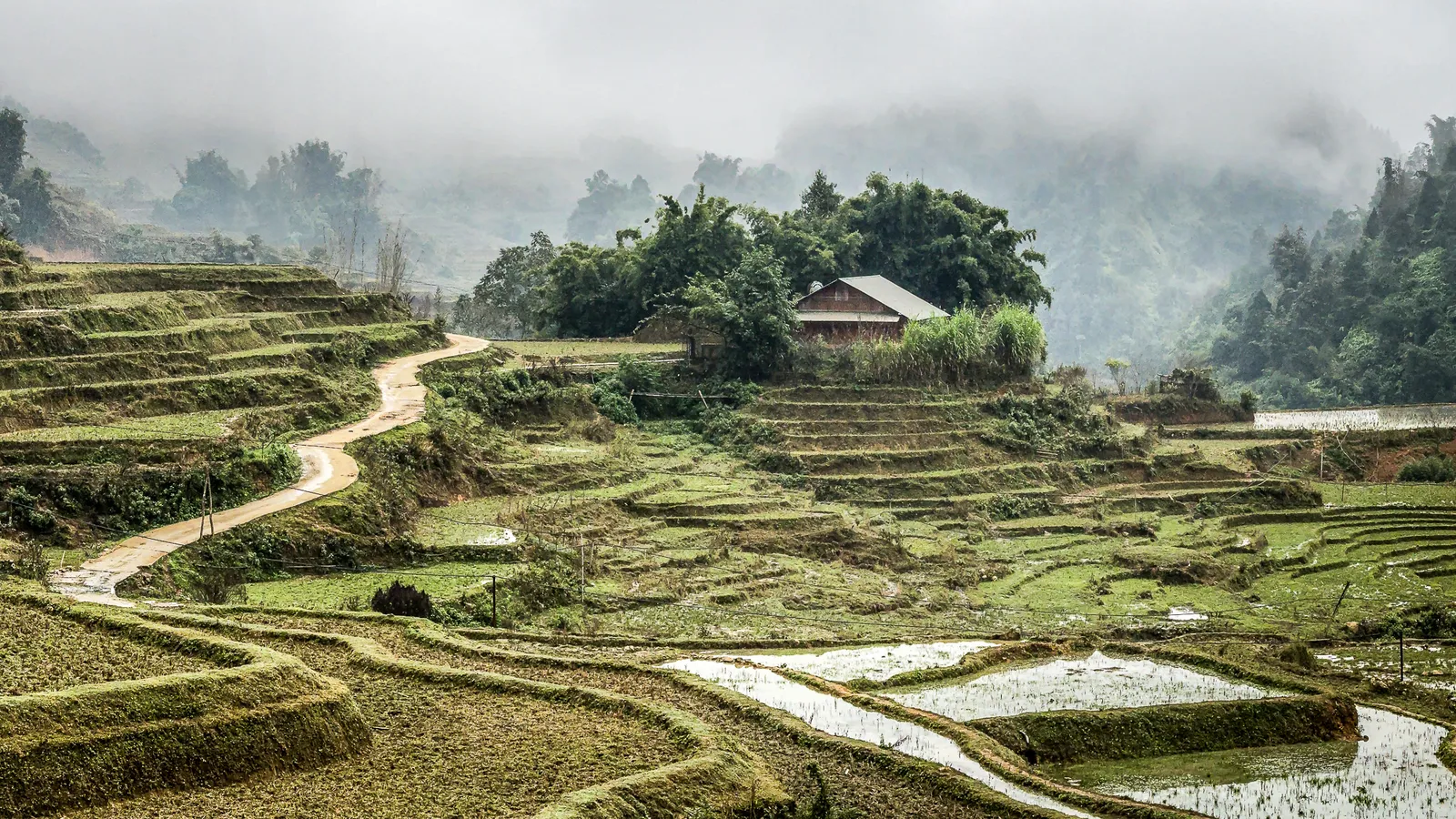 Risaie di Sapa - Vietnam Risaie a terrazze di Sapa nel nord del Vietnam con nebbia tra le montagne