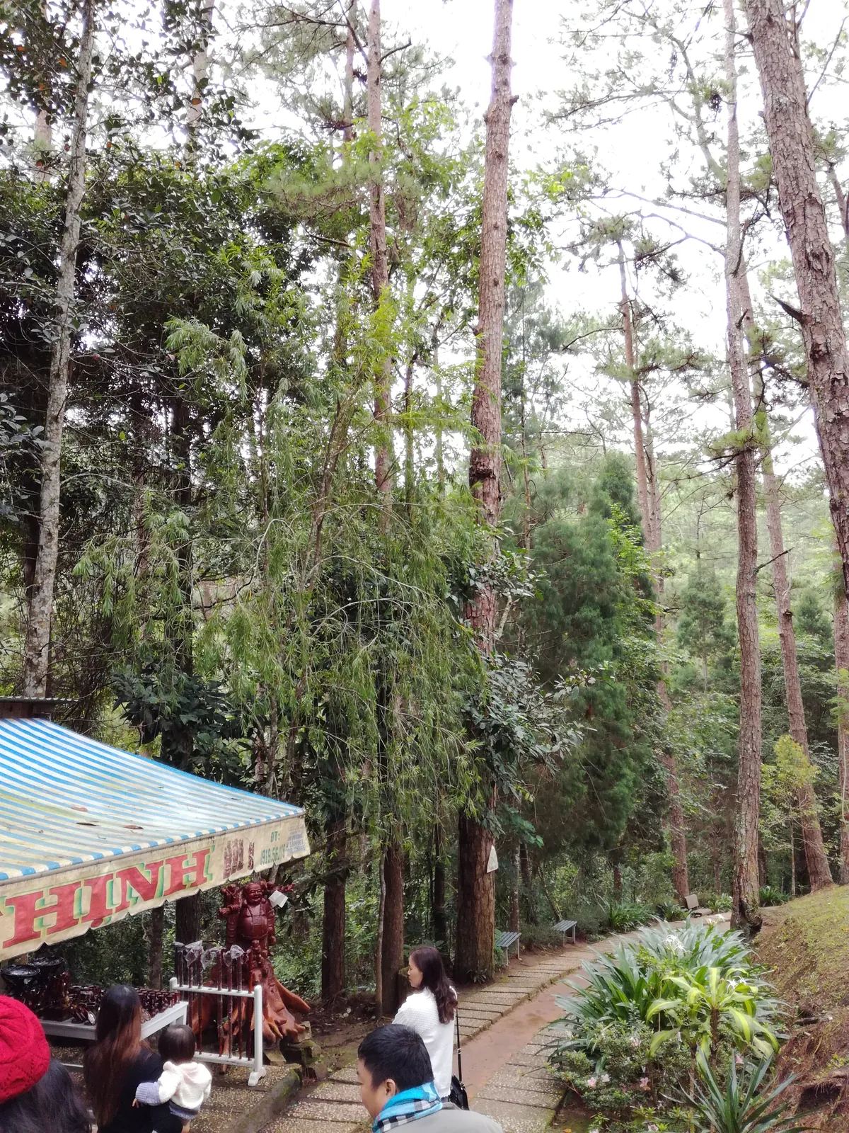 Cascate Datanla a Da Lat con acqua che scorre tra le rocce della foresta