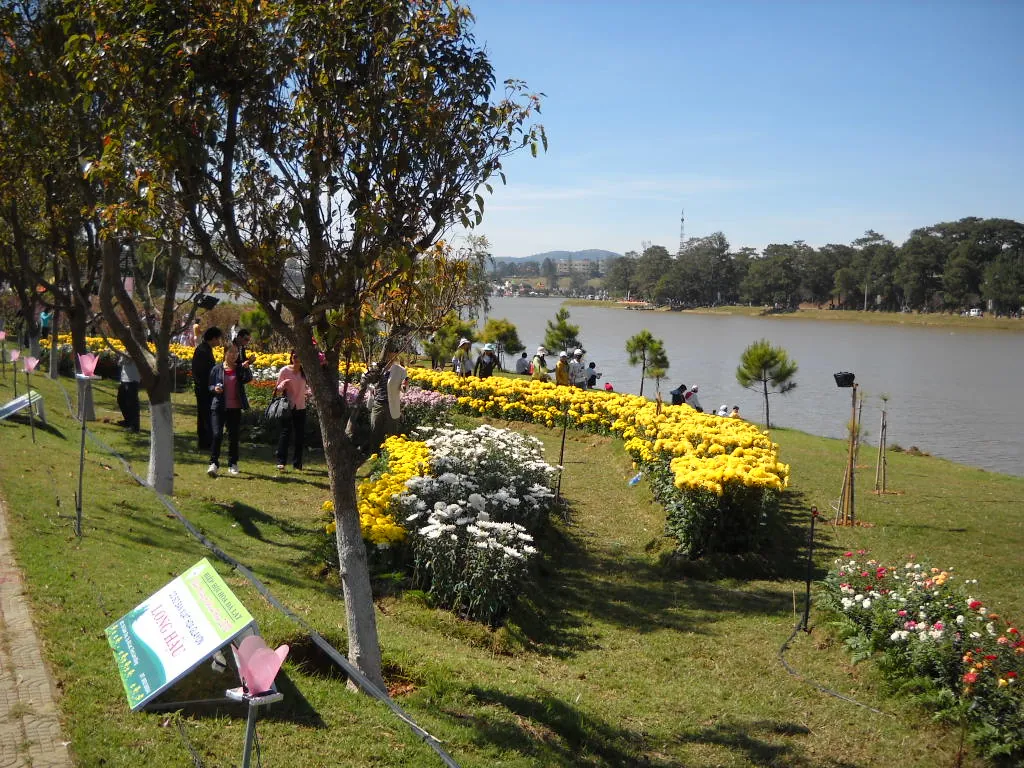 Da Lat cosa vedere: guida completa alla città dei fiori