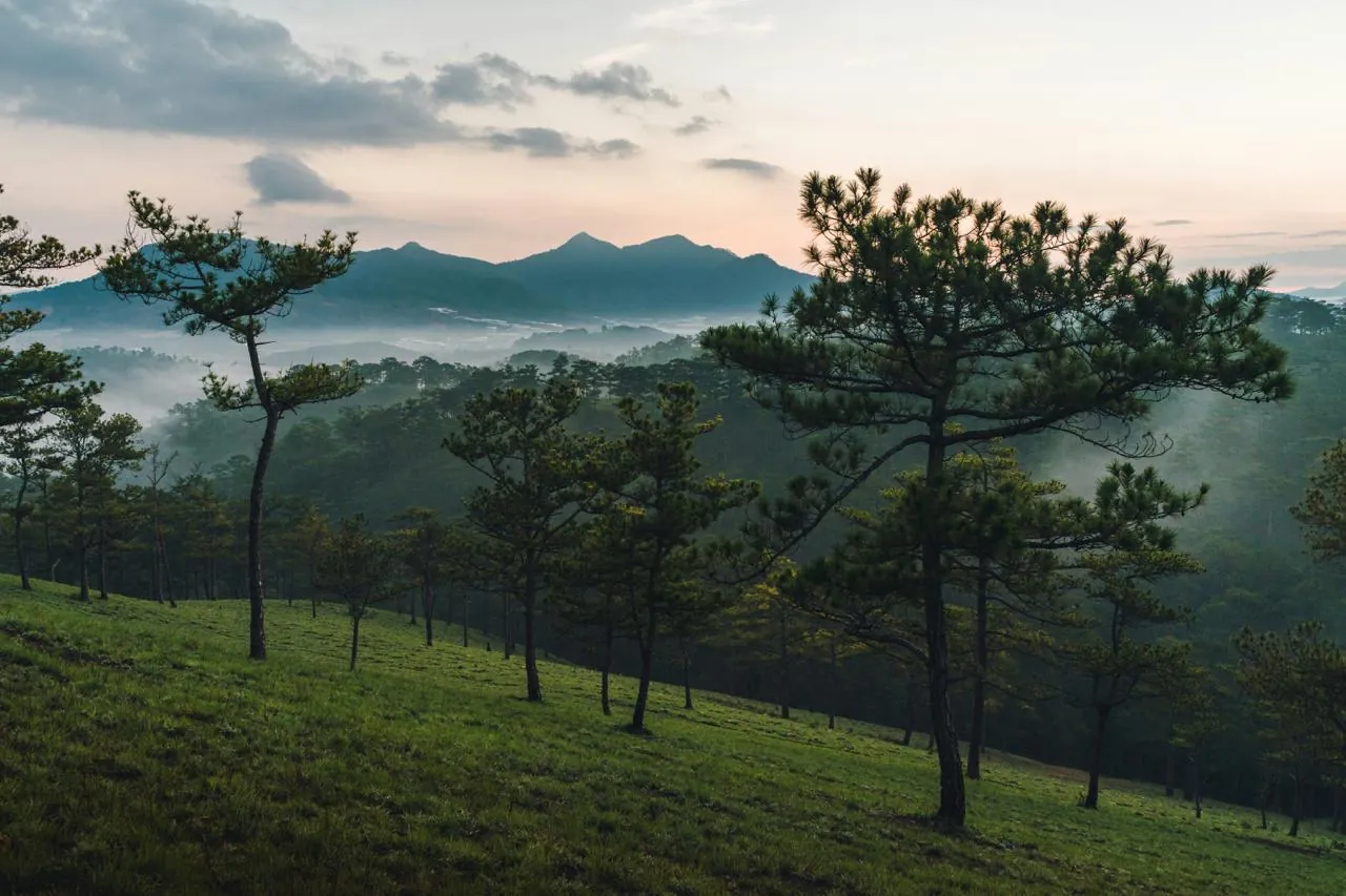 Da Lat cosa vedere: guida completa alla città dei fiori