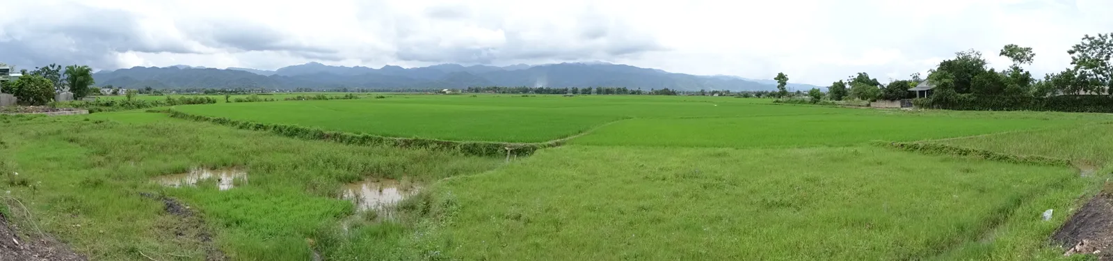 Panorama delle risaie nella valle di Muong Thanh, ideale per il trekking a Dien Bien Phu