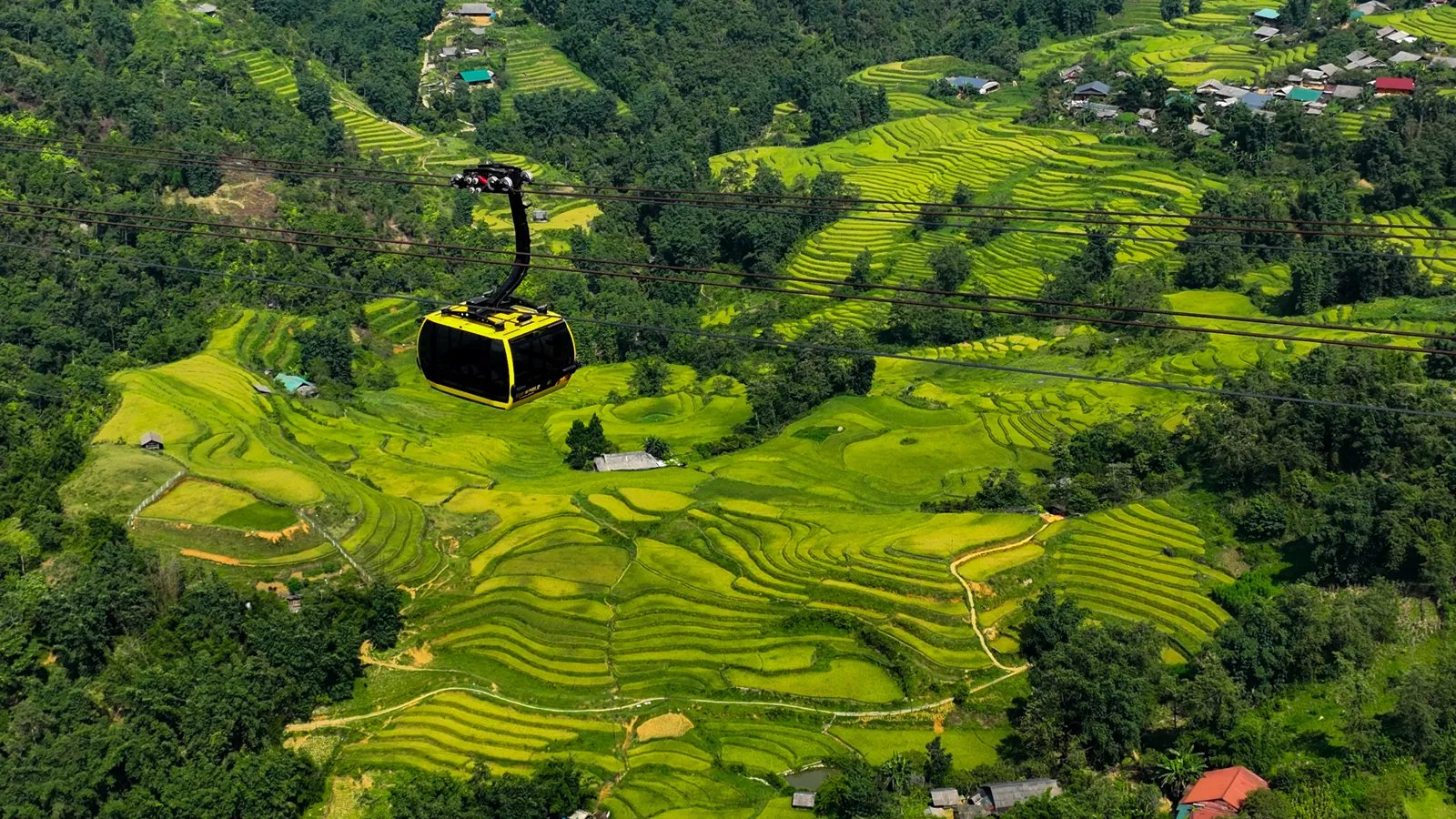 Funivia di Fansipan sulle risaie terrazzate Vista aerea della funivia di Fansipan sulle risaie terrazzate verdi di Sapa