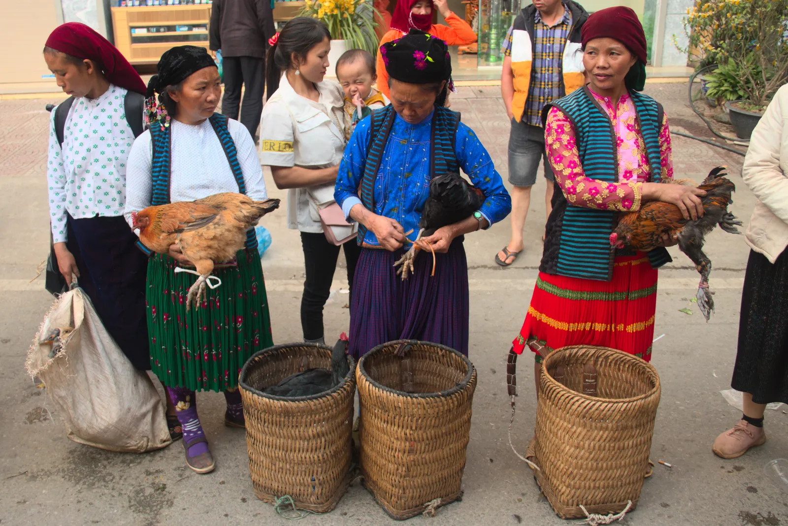 Donne Hmong in costume tradizionale al mercato di Meo Vac durante la stagione del grano saraceno