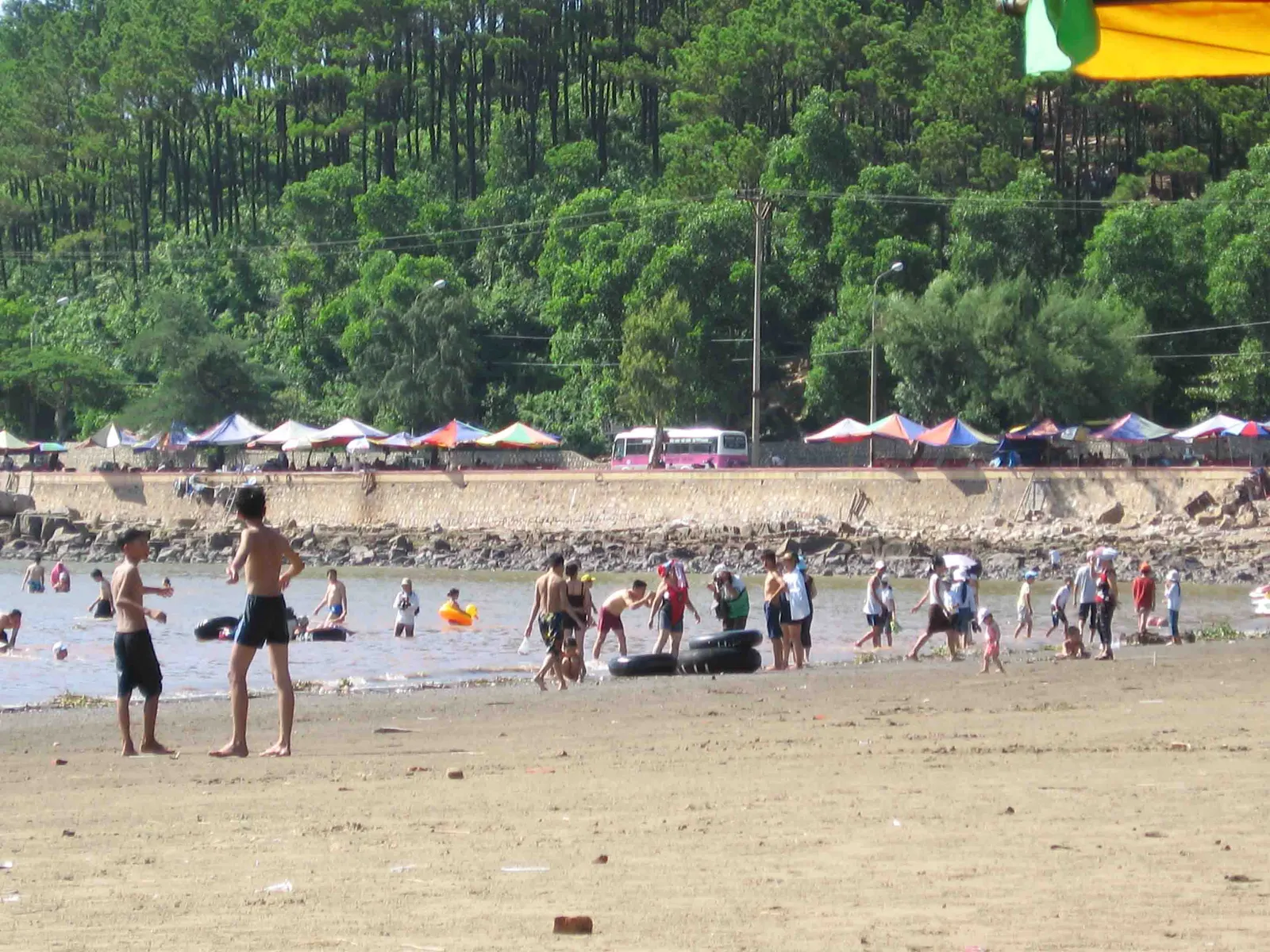 La spiaggia di Do Son La spiaggia di Do Son vicino ad Hai Phong con la sabbia e gli alberi sulla riva del Golfo del Tonchino