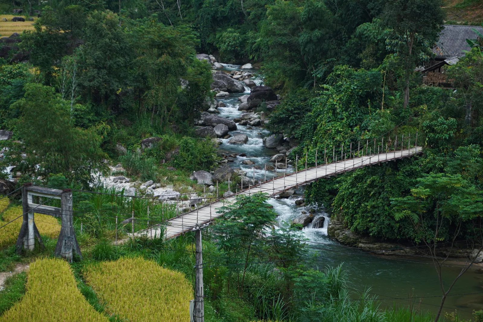 Ponte sospeso sul torrente a Ban Nhung, lungo i sentieri di trekking di Hoang Su Phi