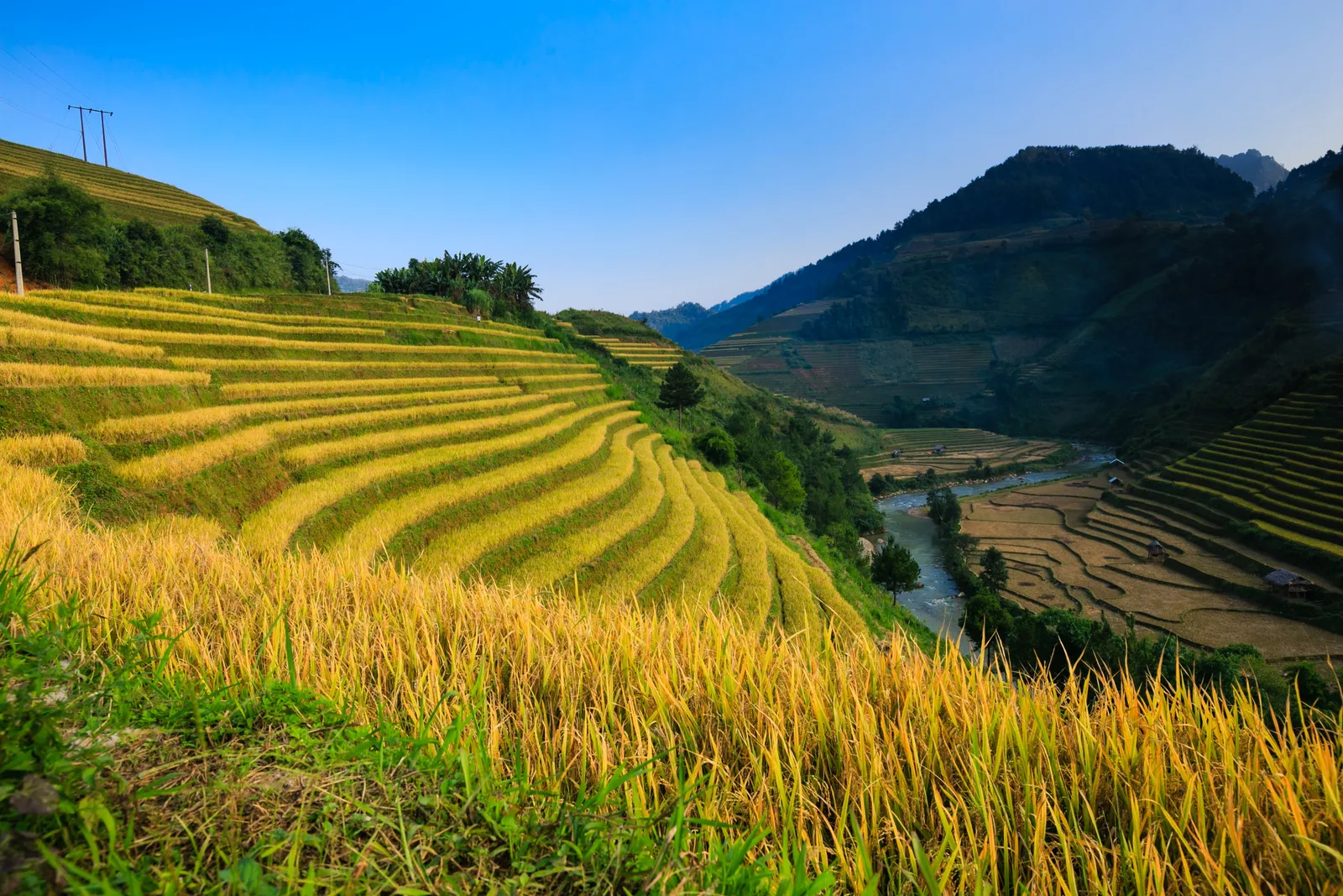 Hoang Su Phi: le risaie a terrazze più selvagge del Vietnam
