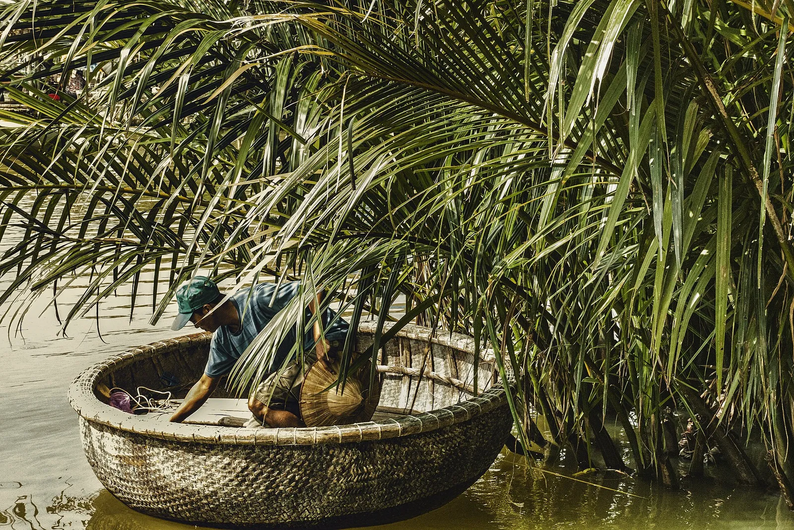 Barca cesto di bambù tra le palme di cocco di Cam Thanh, un'esperienza tipica nei dintorni di Hoi An