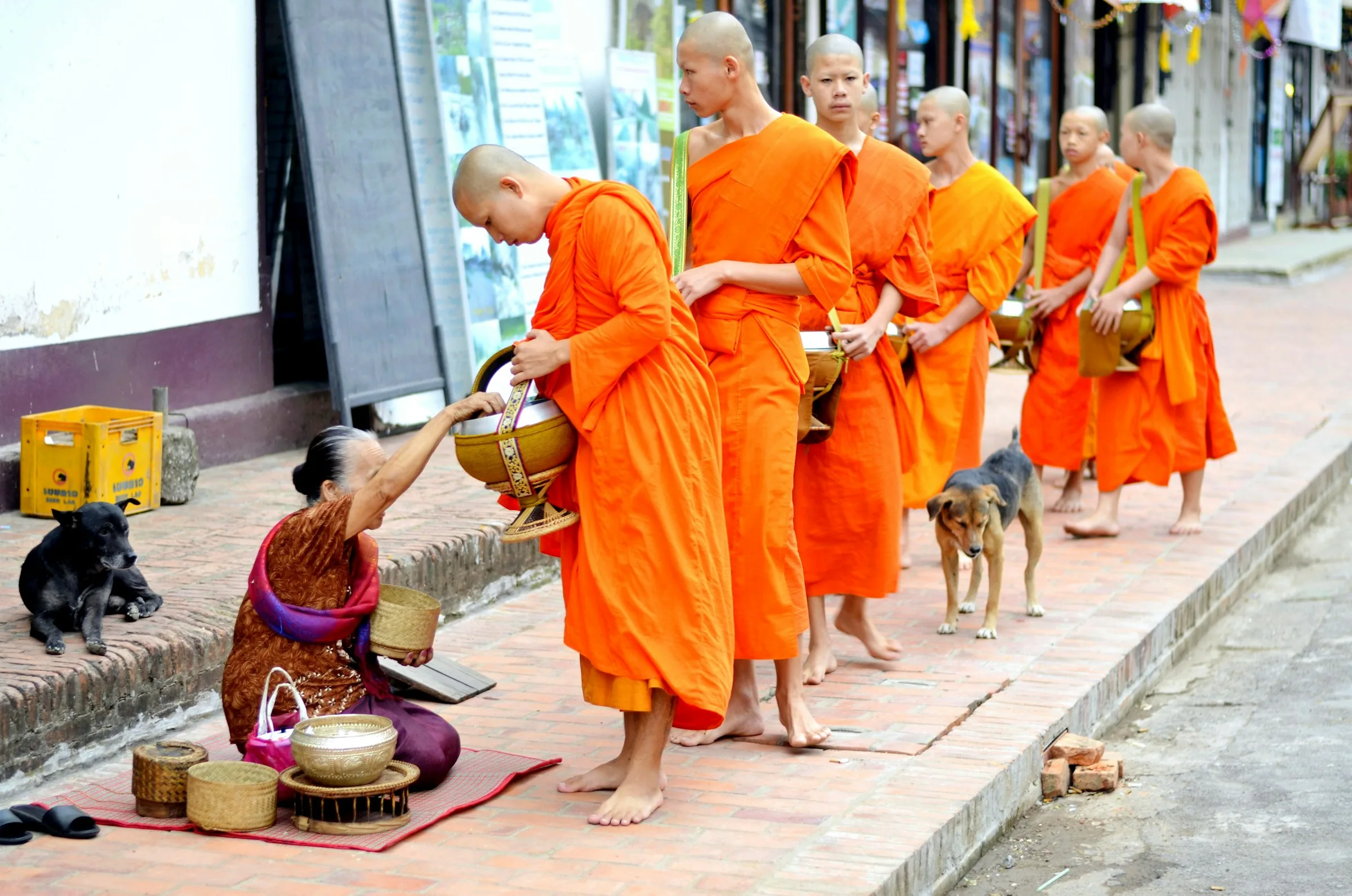 cerimonia di offerta di cibo ai monaci a Luang Prabang