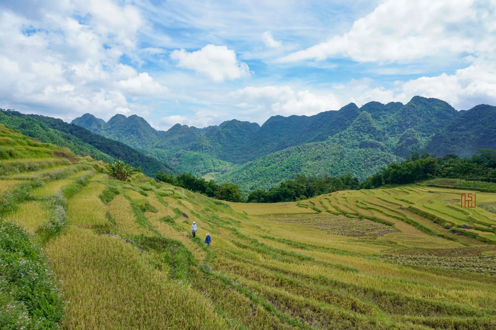 Mai Chau e Pu Luong: risaie, villaggi thai e trekking soft