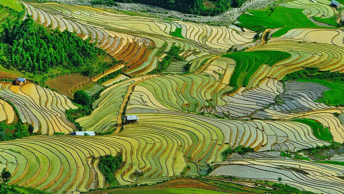 Le risaie di Mu Cang Chai allagate come specchi durante la stagione delle acque