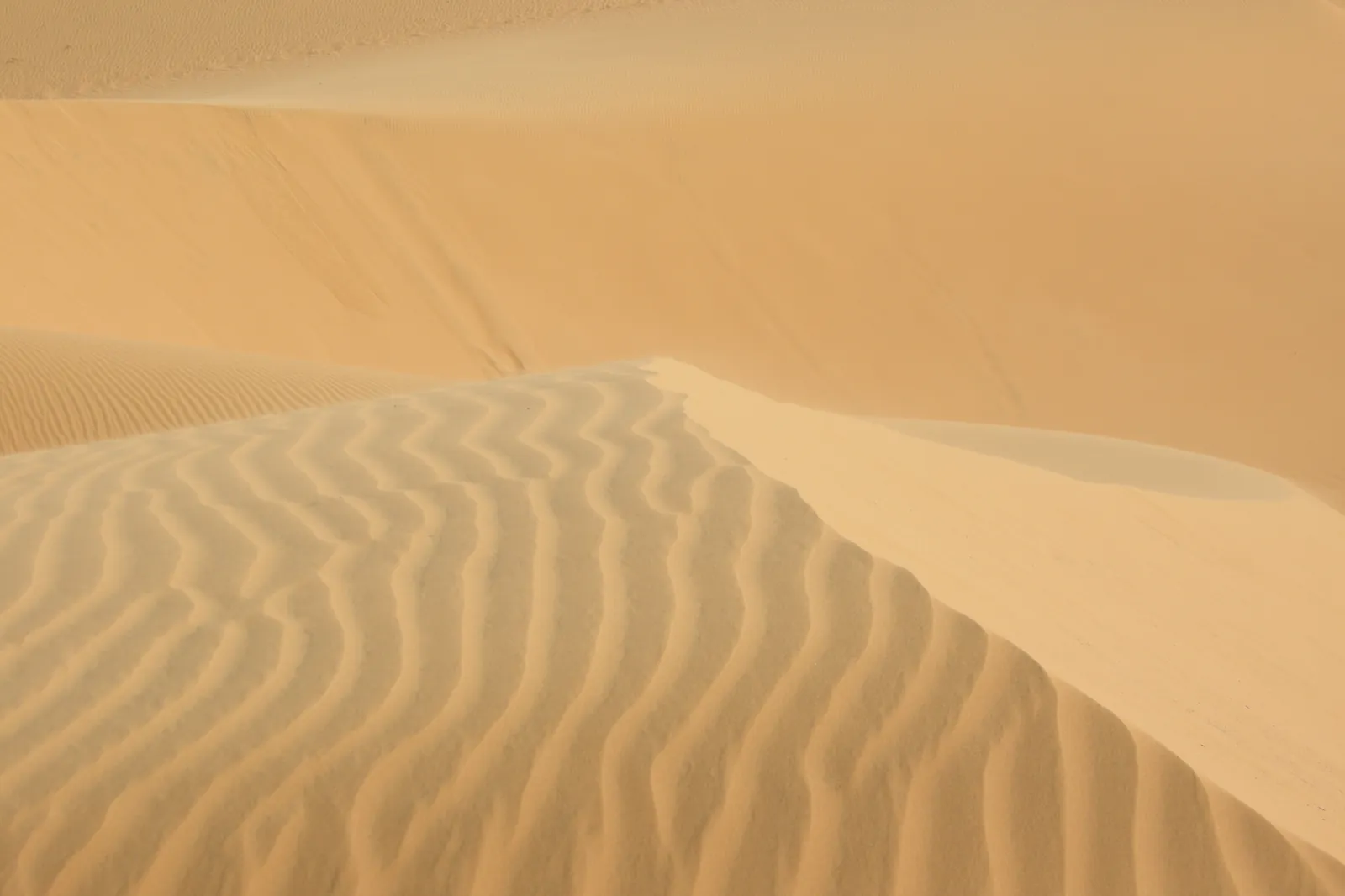 Cosa vedere a Mui Ne: dune, mare e villaggio dei pescatori