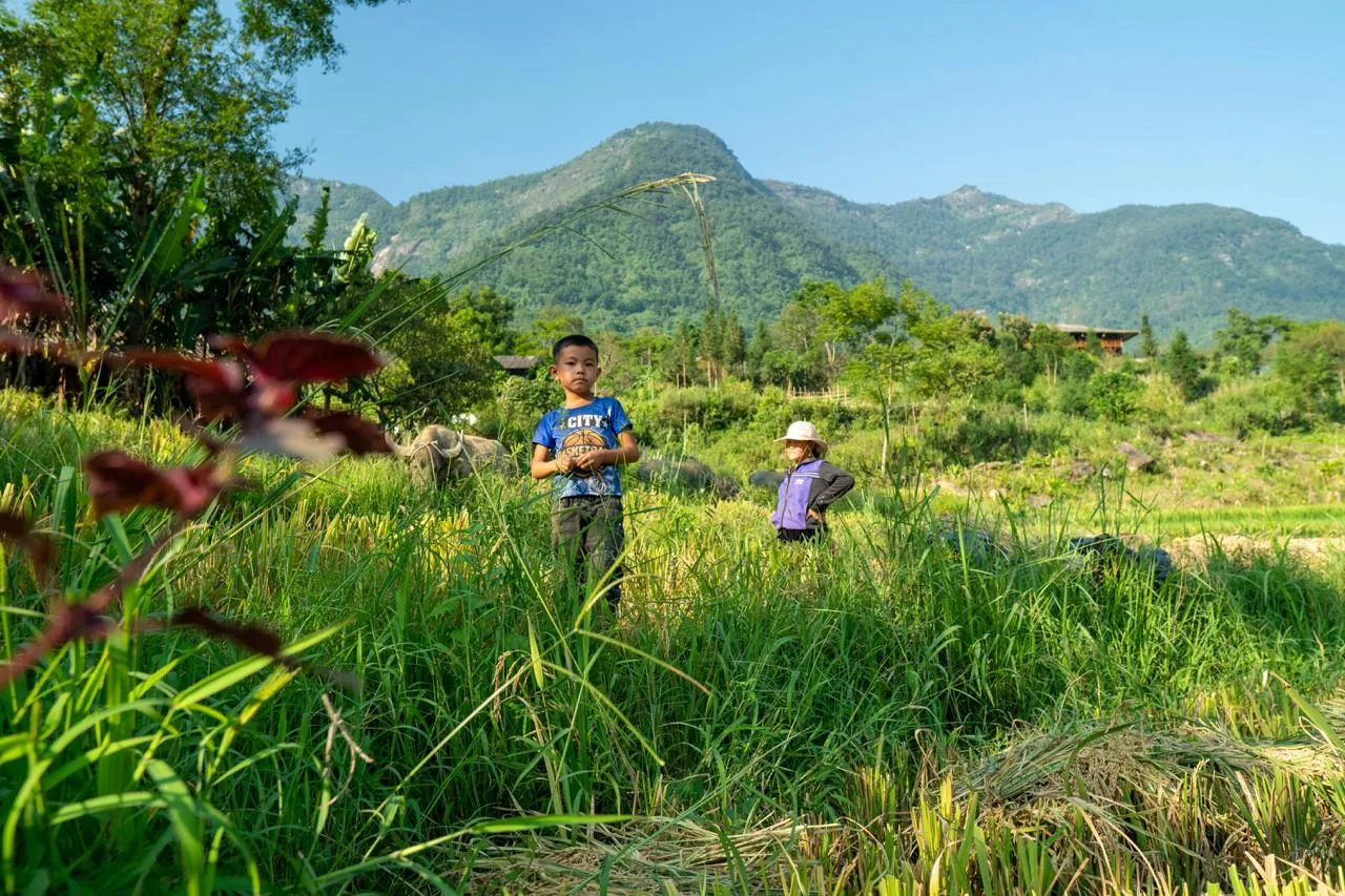 Parchi nazionali del Vietnam: i 10 imperdibili