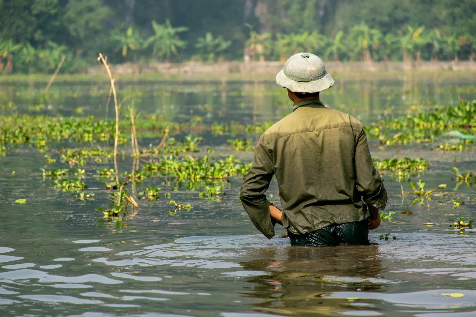 Uomo immerso fino ai fianchi in una laguna del Vietnam