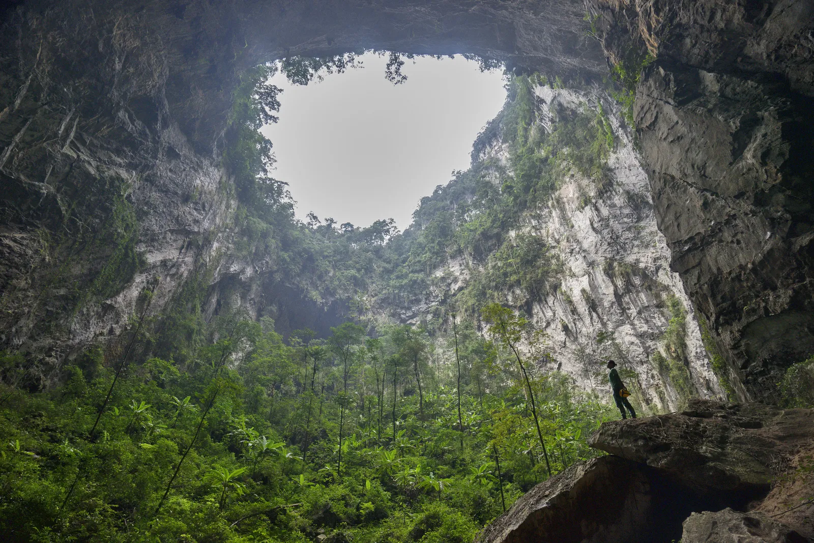 La seconda dolina di Son Doong con la giungla interna La seconda dolina di Son Doong, la grotta più grande del mondo in Vietnam, con la giungla che cresce sotto il crollo del tetto