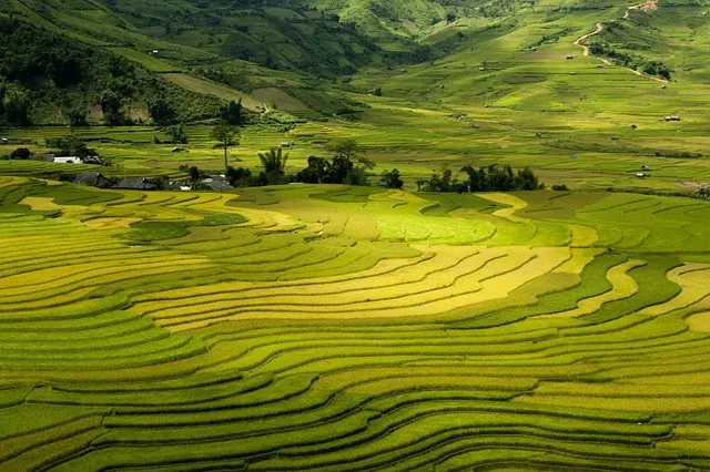 Cosa vedere a Sapa, tra minoranze etniche e trekking nelle risaie