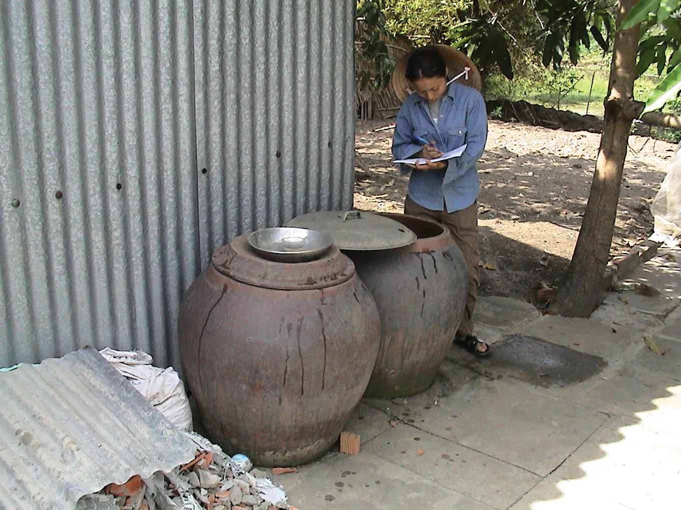 Controllo larve zanzare dengue in Vietnam Ispezione delle larve di zanzara dengue nel sud del Vietnam