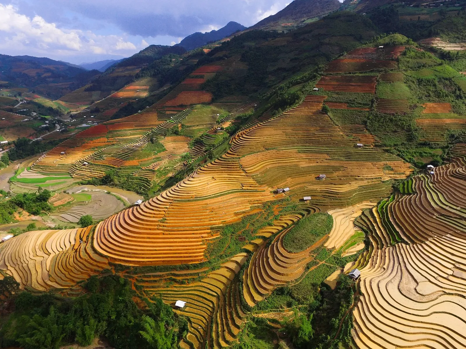 Risaie di Mu Cang Chai in estate Risaie a terrazza verdi di Mu Cang Chai in estate, paesaggio tipico del Vietnam a luglio e agosto