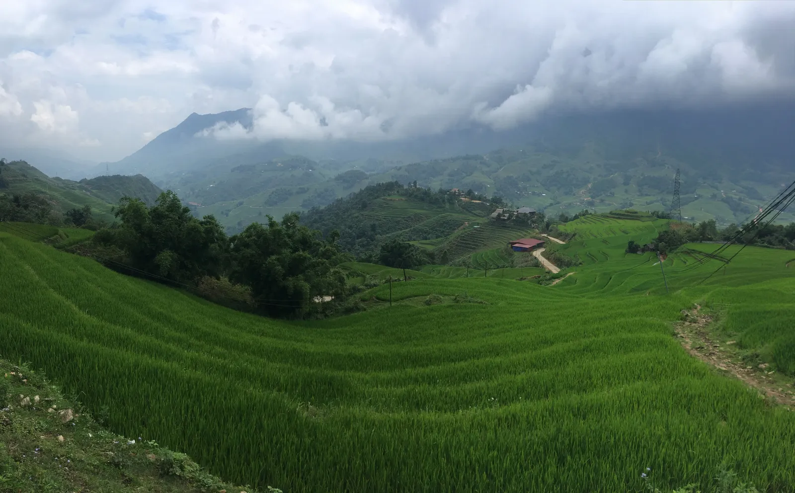 Risaie terrazzate di Sapa Vietnam Nord o Sud: le risaie terrazzate di Sapa, tra i paesaggi simbolo del Nord del Paese