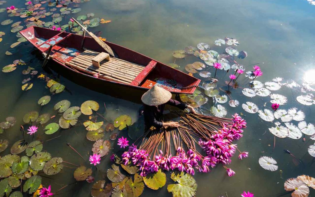 7 info da sapere per viaggiare in Vietnam